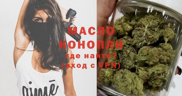 mix Богородицк