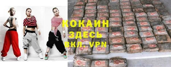 mix Богородицк